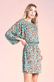 Bold Strokes Boat Neck Dolman Dress